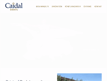 Tablet Screenshot of caidal.com